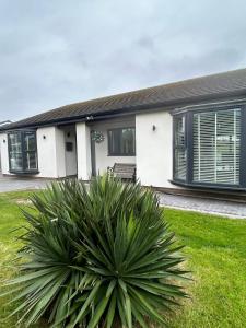 a house with a plant in front of it at Lanrest in Talacre
