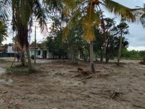 Fotografie z fotogalerie ubytování Sha Homes 