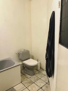 a bathroom with a toilet and a bath tub at Big apartment surrounded by nature in Amsterdam in Ons Belang +21 photos