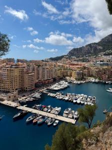 a group of boats docked in a marina at Casa Favelas, Vue Mer et Proche de Monaco in Cap d'Ail +23 photos