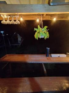 a wooden table with a potted plant on a wall at มองนาภูคาน่านโฮมสเตย์ in Ban Thon (1)