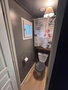 a small bathroom with a toilet and a lamp at chalet montana 4_4pers in Roquefeuil