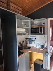 a small kitchen with a sink and a microwave at chalet montana 4_4pers in Roquefeuil