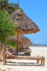 un groupe de chaises et de parasols sur une plage dans l'établissement Mambo Villa, à Matemwe