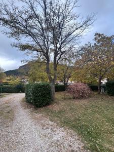 a tree in the middle of a yard at Chalet montana 3- 4pers in Roquefeuil