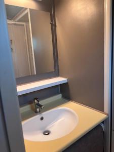 a bathroom with a sink and a mirror at Chalet Montana 4 pers in Roquefeuil