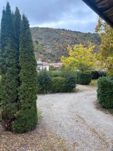a group of trees and shrubs in a yard at Chalet Montana pmr 4 pers in Roquefeuil