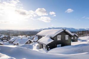 un pueblo cubierto de nieve con una casa en Rauland Feriesenter, en Rauland 13 fotos más