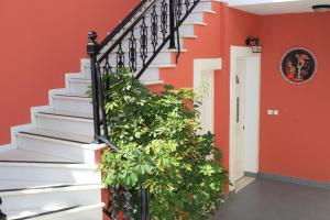 Fotografie z fotogalerie ubytování Vasilis Apartments v destinaci Ermioni