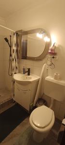 メゼーケヴェシュトにあるPopeye Vendégházの白いトイレと洗面台のあるバスルーム +33枚の写真