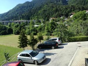 a couple of cars parked in a parking lot at Apartment Tunnel in Hrušica