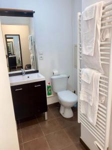 a bathroom with a toilet and a sink and a mirror at Central Fac in Bourg-en-Bresse +8 photos