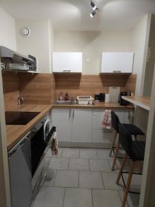 a kitchen with a sink and a dishwasher at Orleans appartement 31 m2 in Saint-Jean-de-la-Ruelle