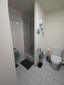 a bathroom with a shower and a toilet at Orleans appartement 31 m2 in Saint-Jean-de-la-Ruelle