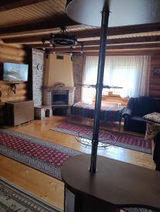 a living room with a couch and a fireplace at Біля Синевіру in Synevyrsʼka Polyana +15 photos