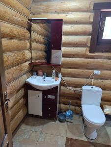 a bathroom with a toilet and a sink in a log wall at Біля Синевіру in Synevyrsʼka Polyana