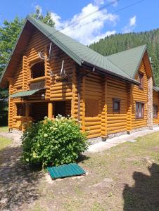 a log cabin with a green roof at Біля Синевіру in Synevyrsʼka Polyana