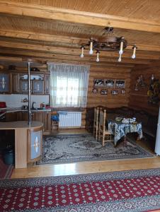 a kitchen and living room of a log cabin at Біля Синевіру in Synevyrsʼka Polyana