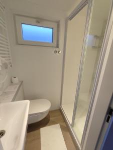 にあるFloating holiday home close to AMSのトイレとガラスのシャワー付きのバスルーム +20枚の写真