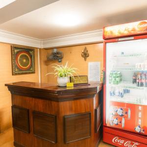 a coca cola refrigerator with a potted plant at Hồng Lực Hotel HCM in Ho Chi Minh City