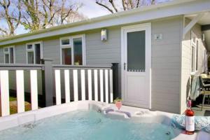 ミルフォード・オン・シーにある4 Bedroom Superior Lodge with Hot Tubの小さな家のある裏庭のプール