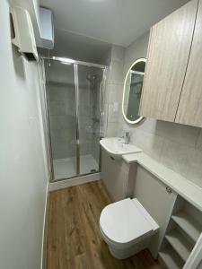ein Badezimmer mit Toilette, Dusche und Waschbecken in der Unterkunft Luxury 2 bed flat in Guildford in Stoughton