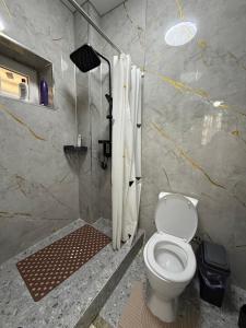 een badkamer met een douche en een toilet. bij TaTa Guest House in Bisjkek +15 foto's