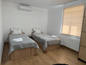a bedroom with two beds and a window at Casa Veche 