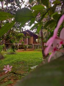 a house in the background with pink flowers in the foreground at The Hideaway in Kurunegala