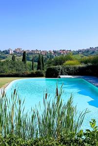 a blue pool of water with a city in the background at Agriturismo Raccianello in San Gimignano