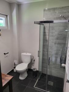 een badkamer met toilet en glazen douche bij Hotelik nad jeziorem w Łasinie in Łasin