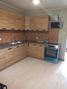 een keuken met houten kasten, een wastafel en een fornuis bij Hotelik nad jeziorem w Łasinie in Łasin +9 foto's