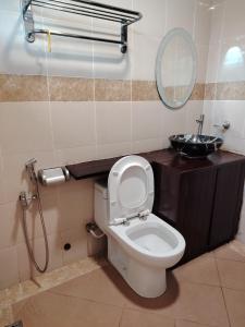 a bathroom with a toilet with a sink and a mirror at Dream House Homestay in Sibu