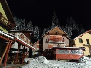 eine Gruppe von Gebäuden im Schnee bei Nacht in der Unterkunft Vila Miruna in Rausor