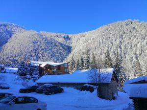 ein Haus im Schnee mit Bergen im Hintergrund in der Unterkunft Vila Miruna in Rausor