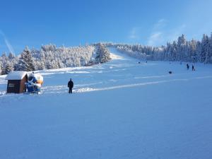 Ein Mann steht im Schnee in der Nähe eines schneebedeckten Hangs. in der Unterkunft Vila Miruna in Rausor + 16 Fotos