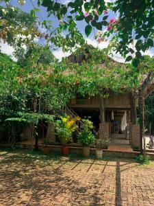 Κήπος έξω από το Mường Zen Villa