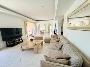 een woonkamer met een bank en een tv bij Luxury villa spa, sauna, billiards table in Montauroux