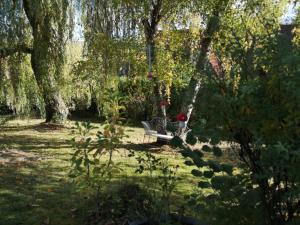 Zahrada ubytování Rotkehlchen Ferienwohnung