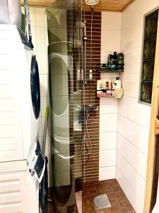 a shower with a glass door in a bathroom at Cosy Station Homestay in Rovaniemi +3 photos