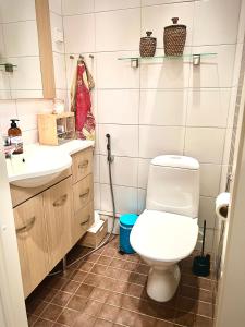 a bathroom with a toilet and a sink at Cosy Station Homestay in Rovaniemi