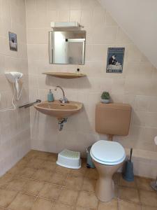 a bathroom with a toilet and a sink at Cozy apartment in Harsum near Hildesheim in Harsum +10 photos