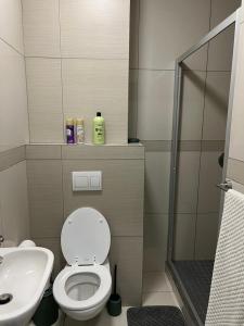 een badkamer met toilet, wastafel en douche bij Le grand hideout in Windhoek