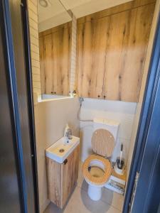 Un baño pequeño con inodoro y lavabo. en Balans house, en Petrovaradin 41 fotos más