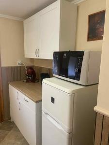 Il comprend une cuisine équipée d'un four micro-ondes et d'un réfrigérateur. dans l'établissement Csilla Apartman, à Makó
