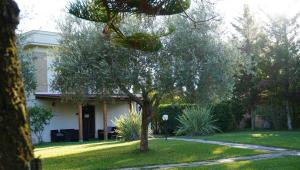 a tree in the yard of a house at Oasi Santa Rosa in Rome +45 photos