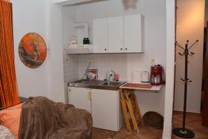 a small kitchen with a sink and a counter at ΑΡΣΙΝΟΗ apartments1 in Arachova