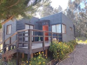 a blue tiny house with a wooden deck at Cabaña Matanzas tinaja privada vista al bosque in Boca Pupuya