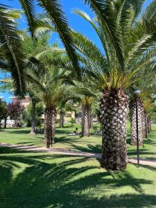 Zahrada ubytování Happy Camp in Don Antonio Glamping Village