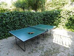 a blue ping pong table in front of a hedge at B&B Villa Maria in Terni
